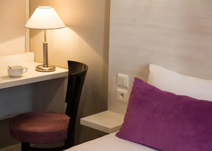 Hotelo Ainay 酒店 里昂