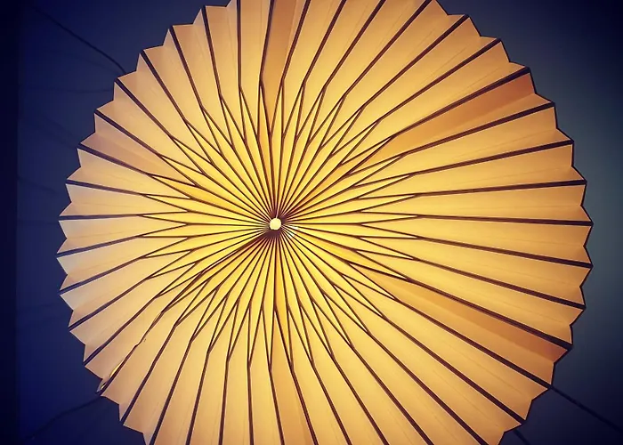 Hotelo Ainay 酒店 3*