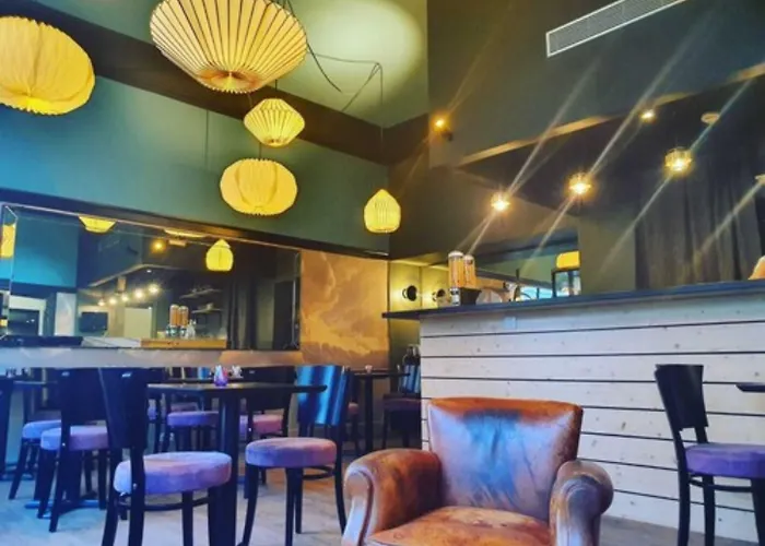 Hotelo Ainay 酒店 里昂